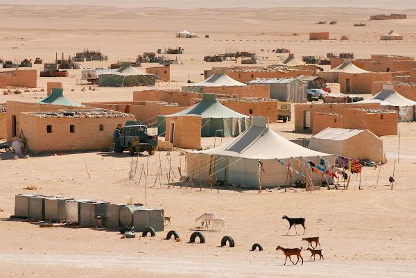 Comunicado de NOVA para pedir una solucin justa al conflicto de Sahara Occidental